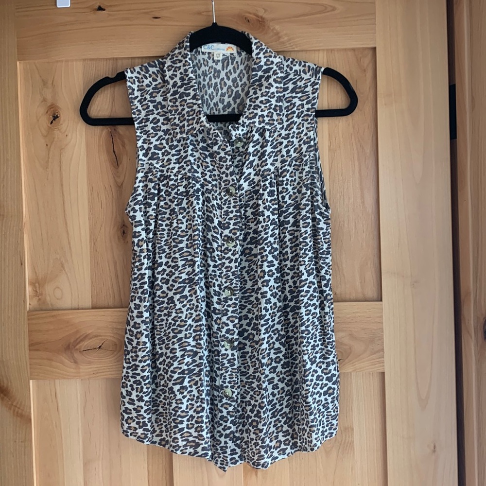 Cheetah print collard blouse.